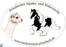 Logo Prinzbacher Alpaka- und Tinkerzucht Bechererhof